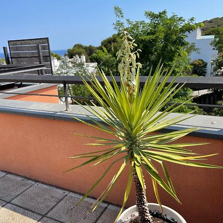 Sunny Apartment Sa Boadella Big Solarium Sea View Lloret de Mar Dış mekan fotoğraf